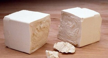 Jak krmit zelí kvasnicemi na otevřeném poli a je to možné